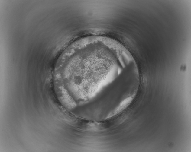 X0000112820367200909111328