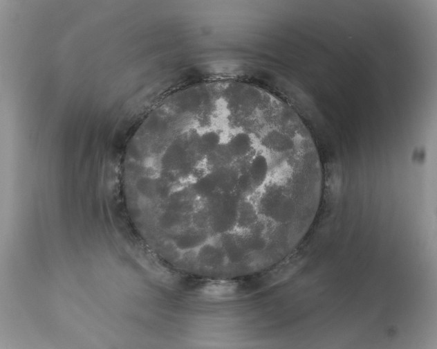 X0000112820369200909111328