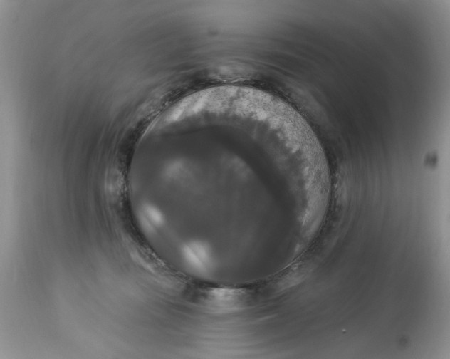 X0000112820371200909111328