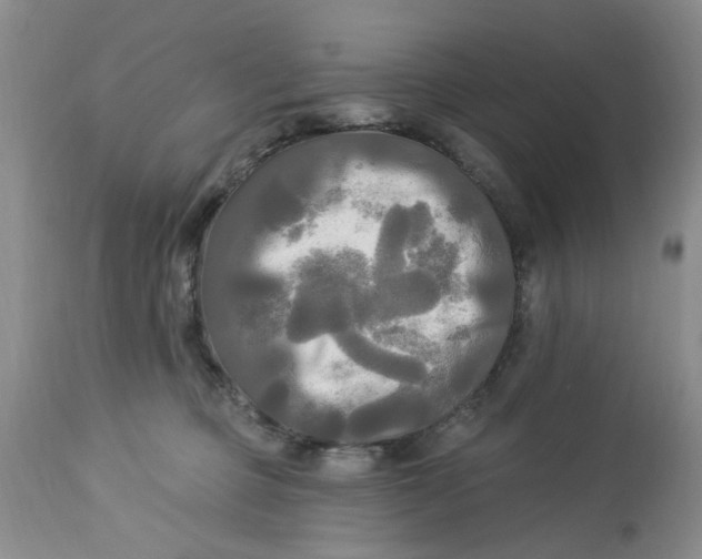 X0000112820373200909111328