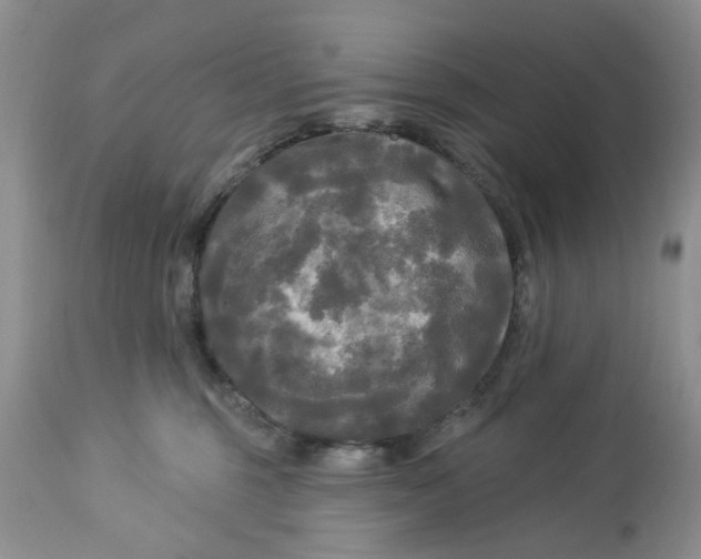 X0000112820375200909111328