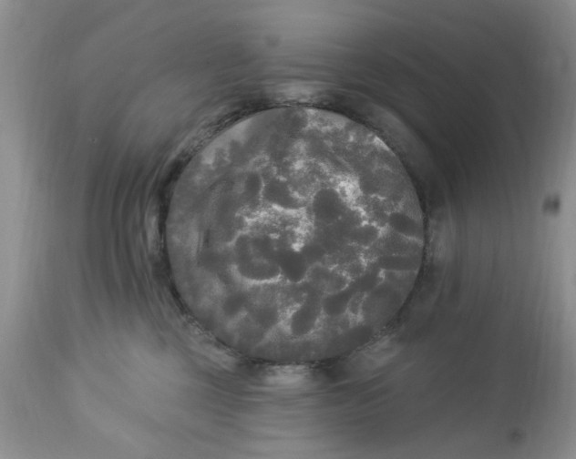 X0000112820377200909111328