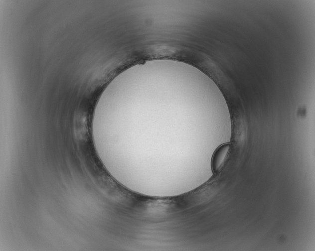 X0000112820378200909111328