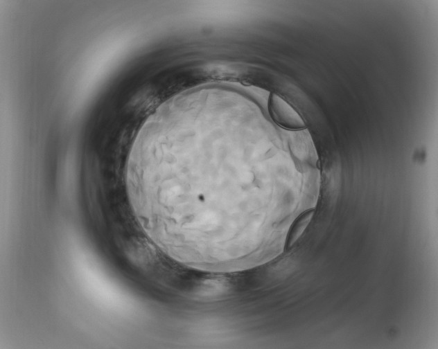 X0000112820381200909111328