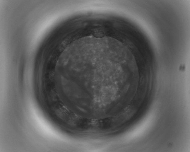 X0000112820383200909111328