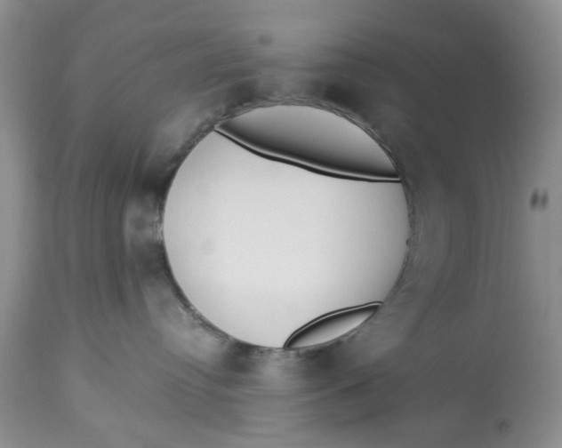 X0000112820384200909111328