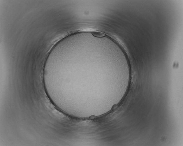 X0000112820385200909111327