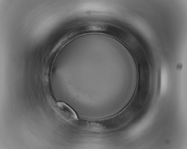 X0000112820387200909111327