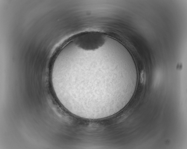 X0000112820388200909111327