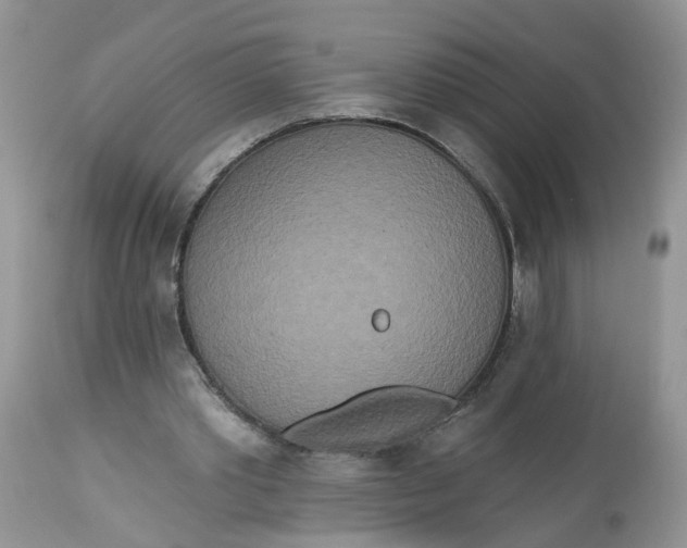 X0000112820389200909111327