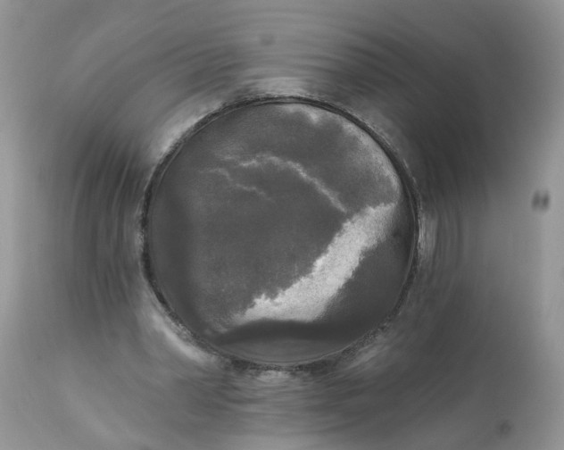 X0000112820390200909111327