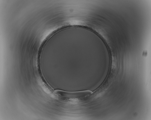 X0000112820391200909111327