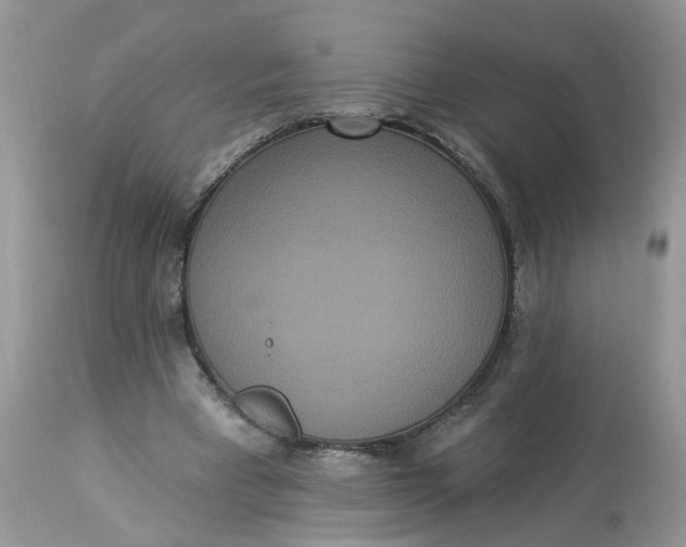 X0000112820393200909111327