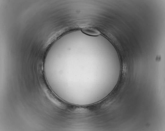 X0000112820397200909111327