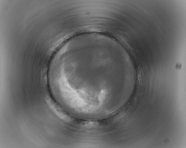 X0000112820398200909111327