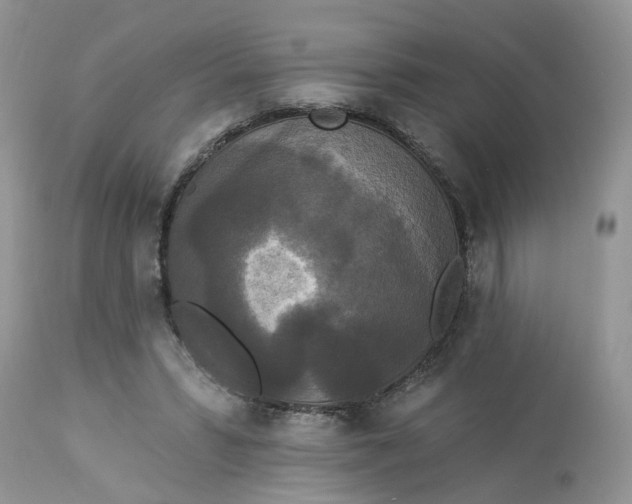 X0000112820399200909111327