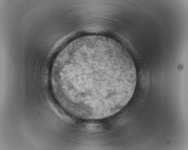 X0000112820400200909111327