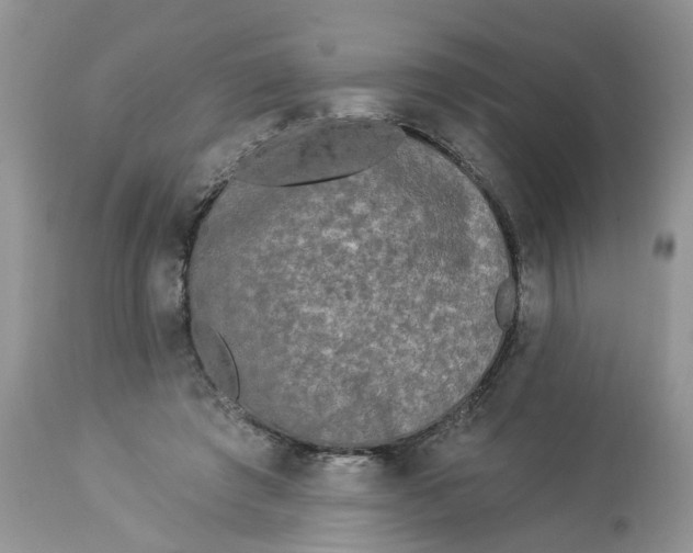 X0000112820401200909111327