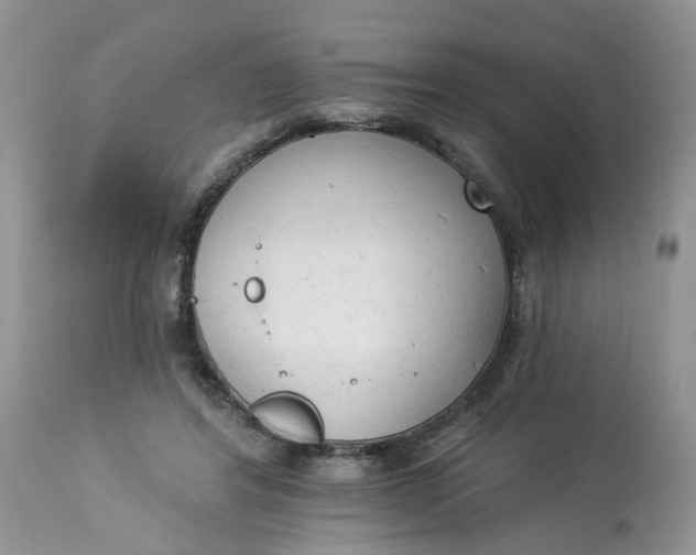 X0000112820404200909111327