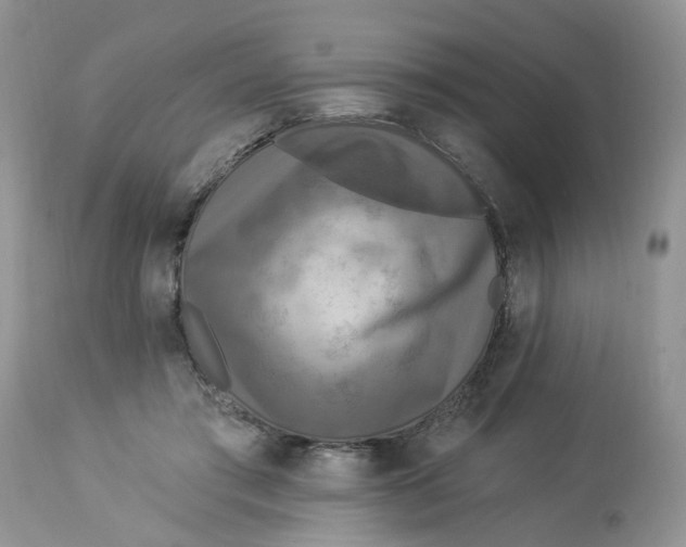 X0000112820405200909111327