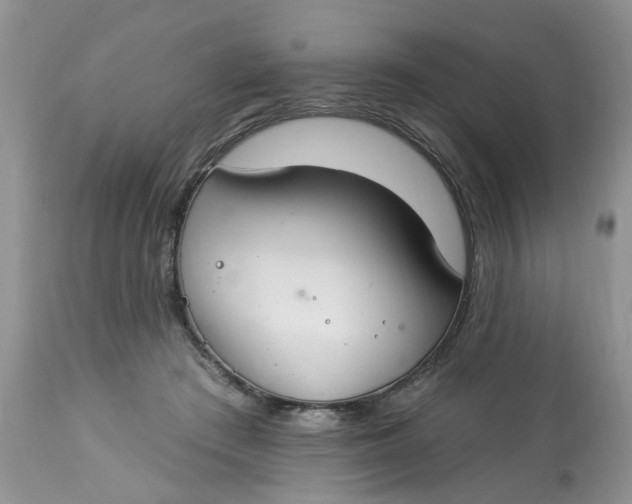 X0000112820409200909111327