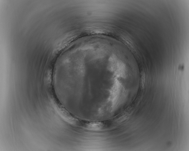 X0000112820410200909111327