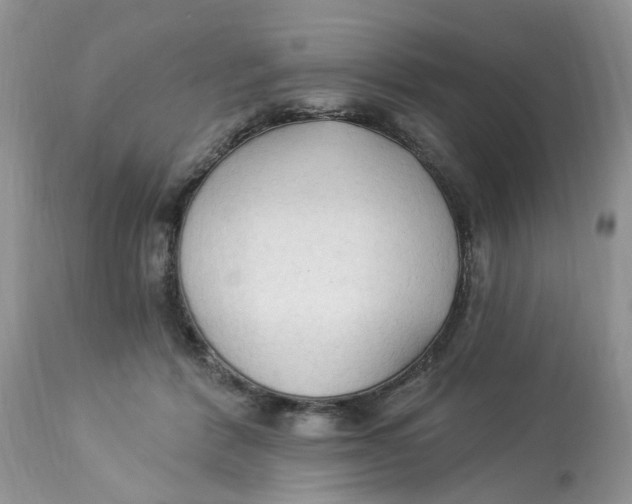 X0000112820412200909111327