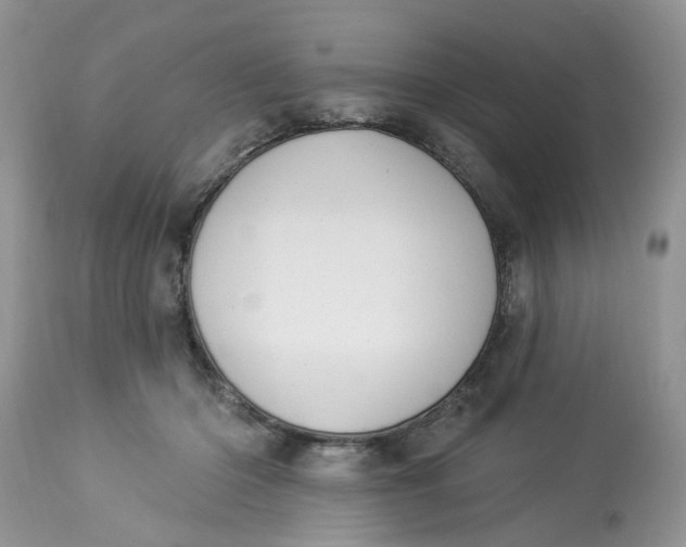 X0000112820414200909111327