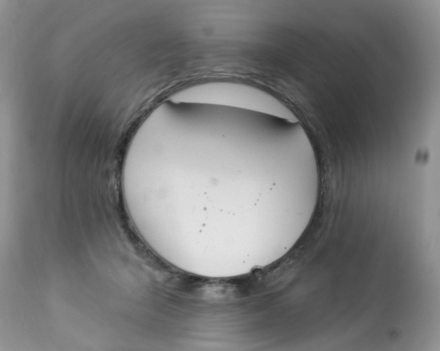 X0000112820415200909111327