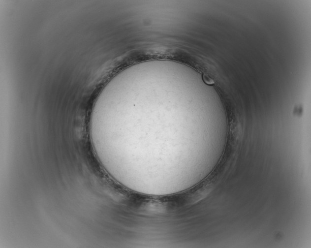 X0000112820416200909111327