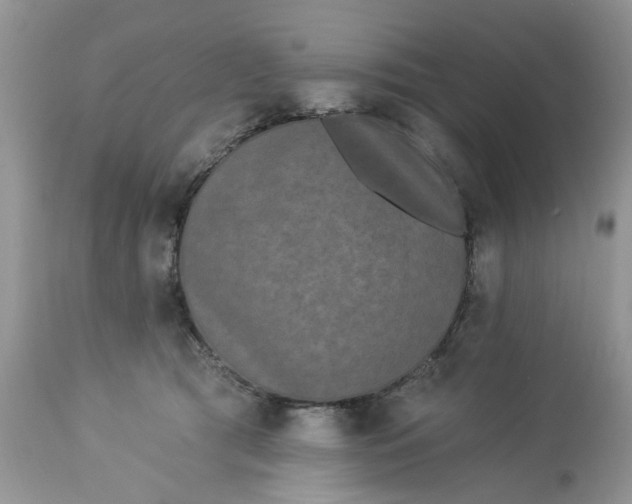 X0000112820417200909111327