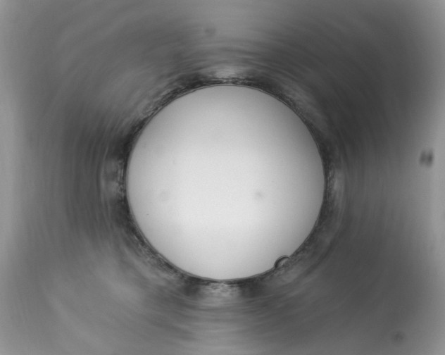 X0000112820421200909111327