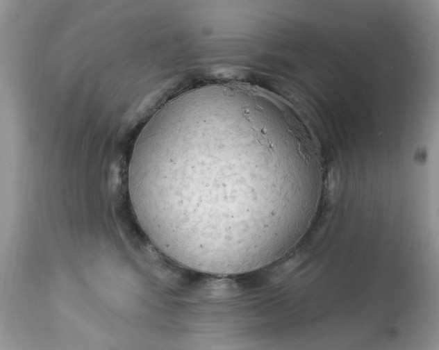 X0000112820424200909111327