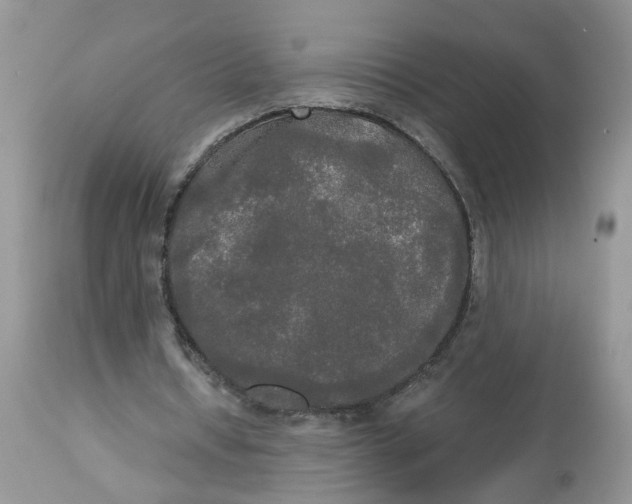 X0000112820434200909111326