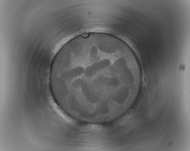 X0000112820437200909111326