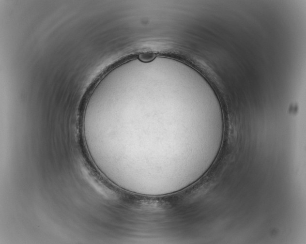 X0000112820439200909111326