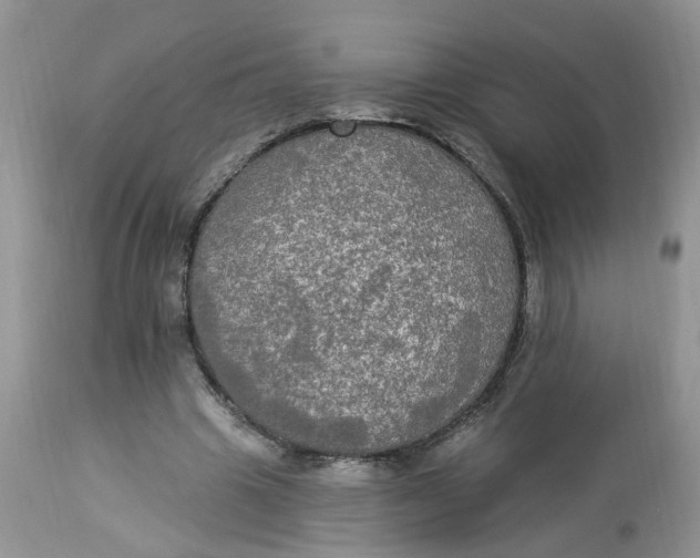 X0000112820441200909111326