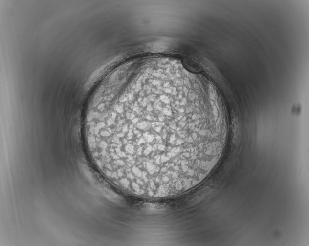 X0000112820442200909111326