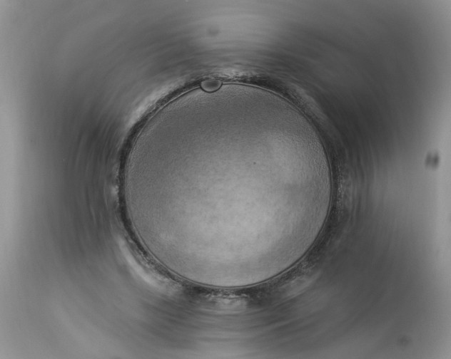 X0000112820443200909111326