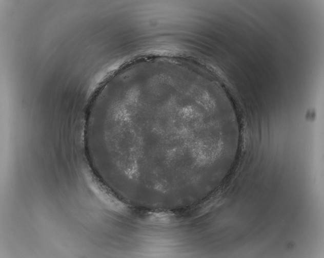 X0000112820446200909111326