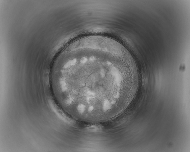 X0000112820447200909111326