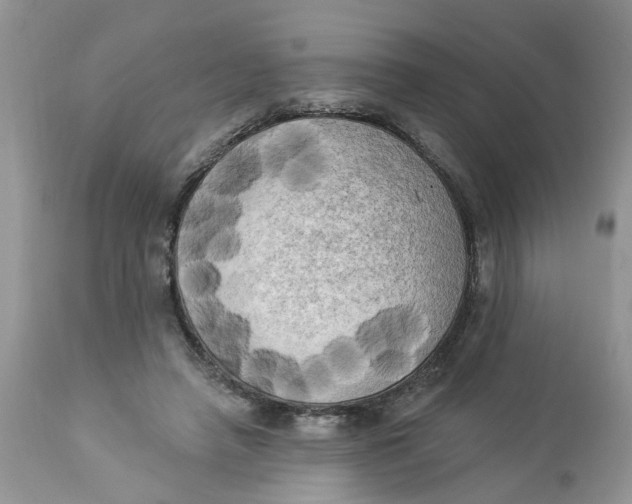 X0000112820450200909111326