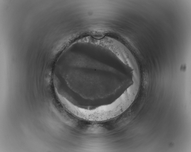 X0000112820451200909111326