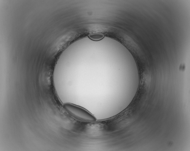 X0000112820452200909111326