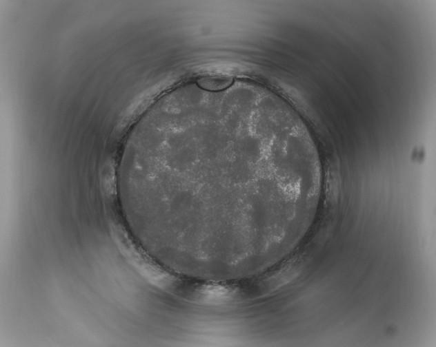 X0000112820453200909111326