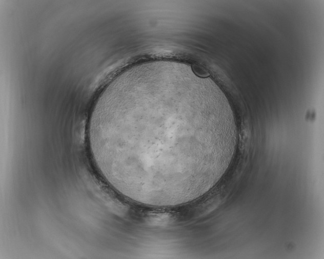 X0000112820454200909111326