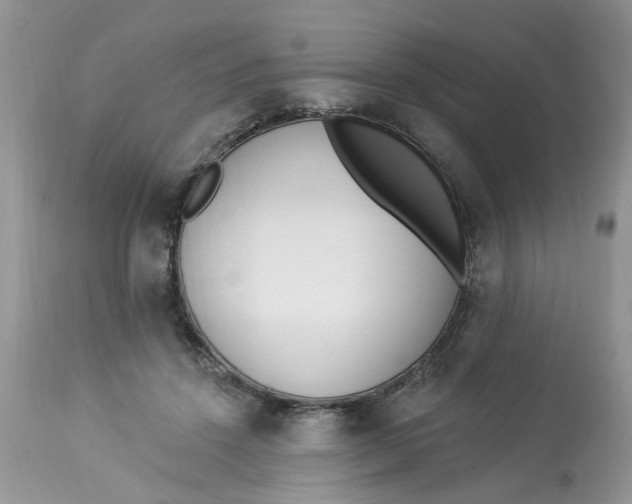 X0000112820456200909111326