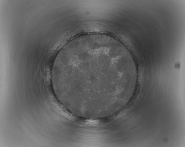 X0000112820457200909111326