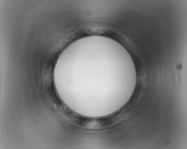 X0000112820460200909111326