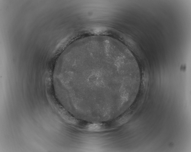 X0000112820461200909111326